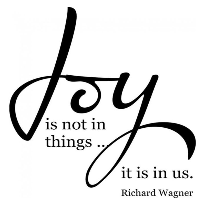 GENERICO - Decomural Joy Is In Us Inspirational WS-15633