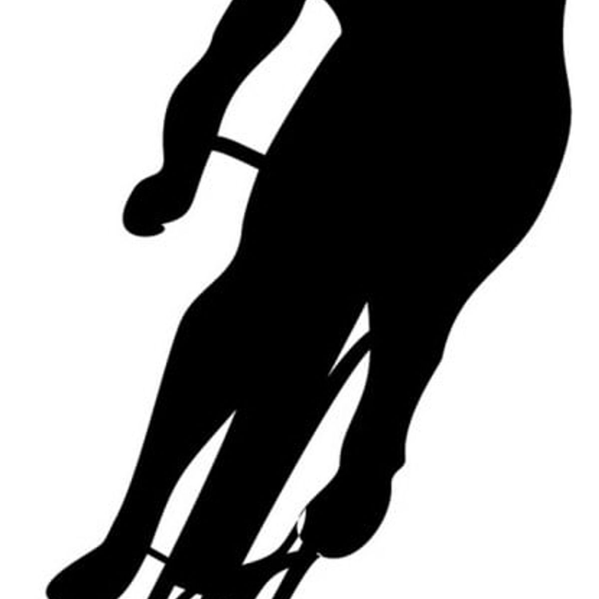 GENERICO - Decomural Cycling Sport Pedal Bike WS-15735