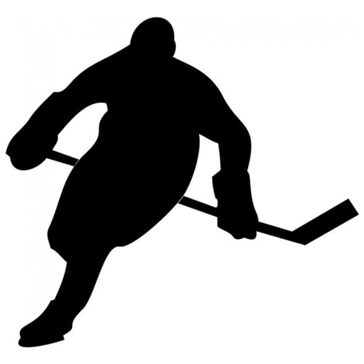 GENERICO - Decomural Ice Hockey Player Winter Sports WS-15738