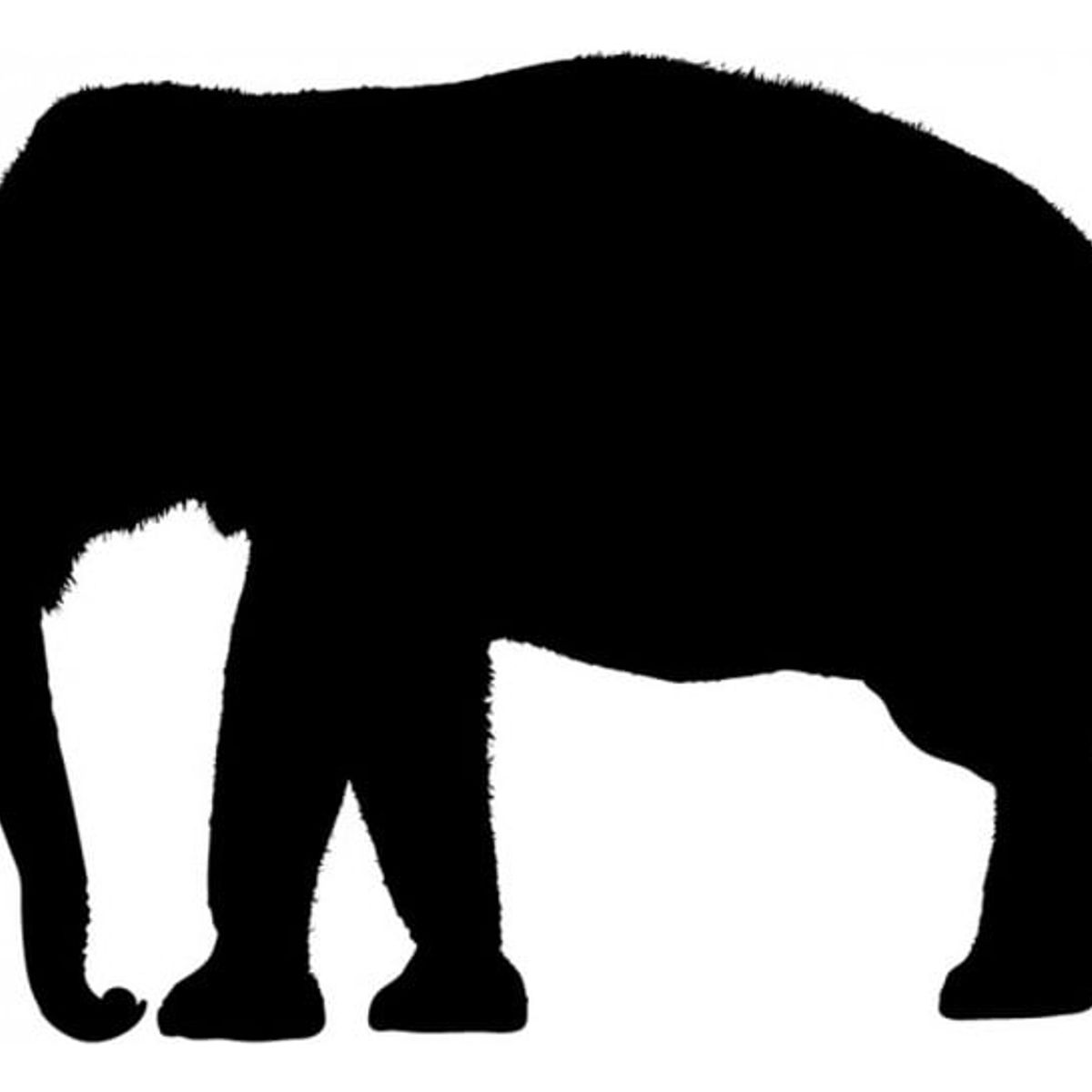 GENERICO - Decomural Elephant Safari Animals WS-15812