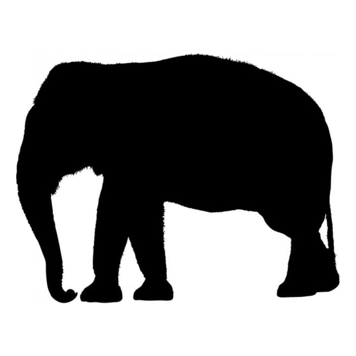 GENERICO - Decomural Elephant Safari Animals WS-15812