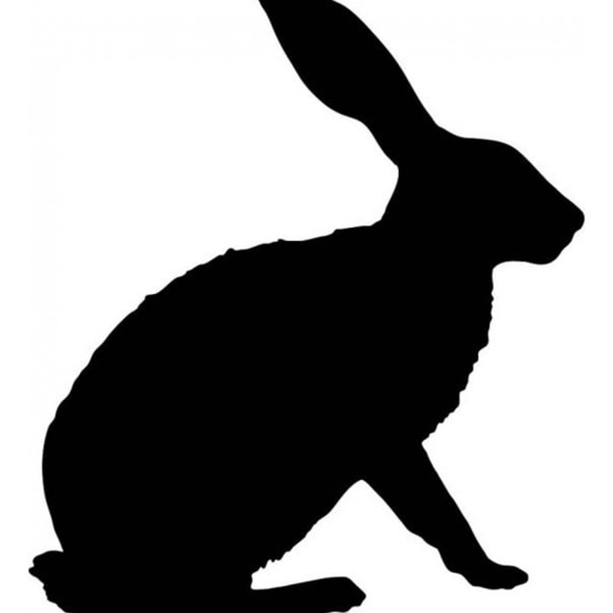 GENERICO - Decomural Hare Rabbit WS-15822