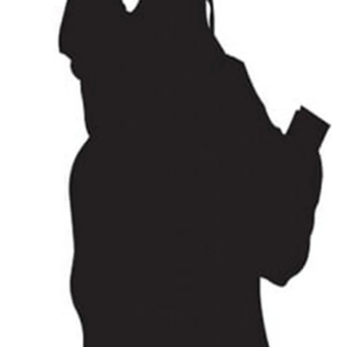 GENERICO - Decomural Statue Of Liberty America WS-15832