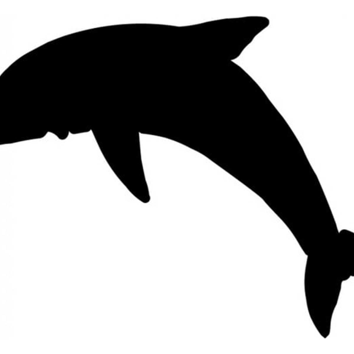 GENERICO - Decomural Dolphin Under The Sea WS-15852