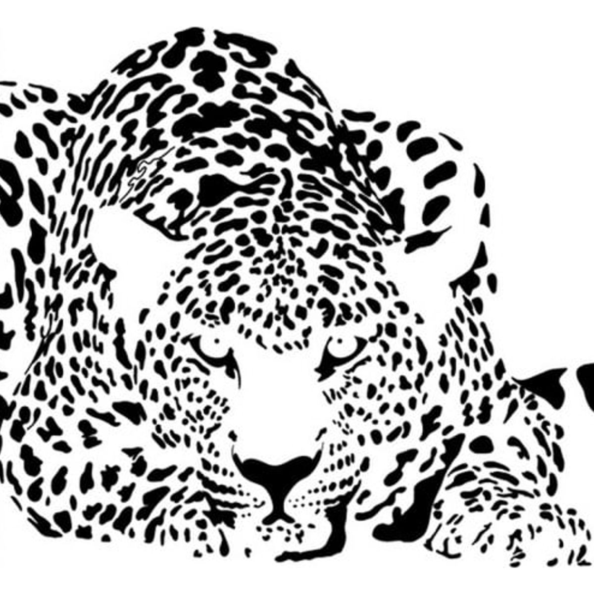 GENERICO - Decomural Leopard Big Cats WS-15870