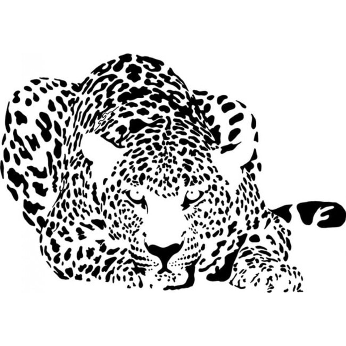 GENERICO - Decomural Leopard Big Cats WS-15870