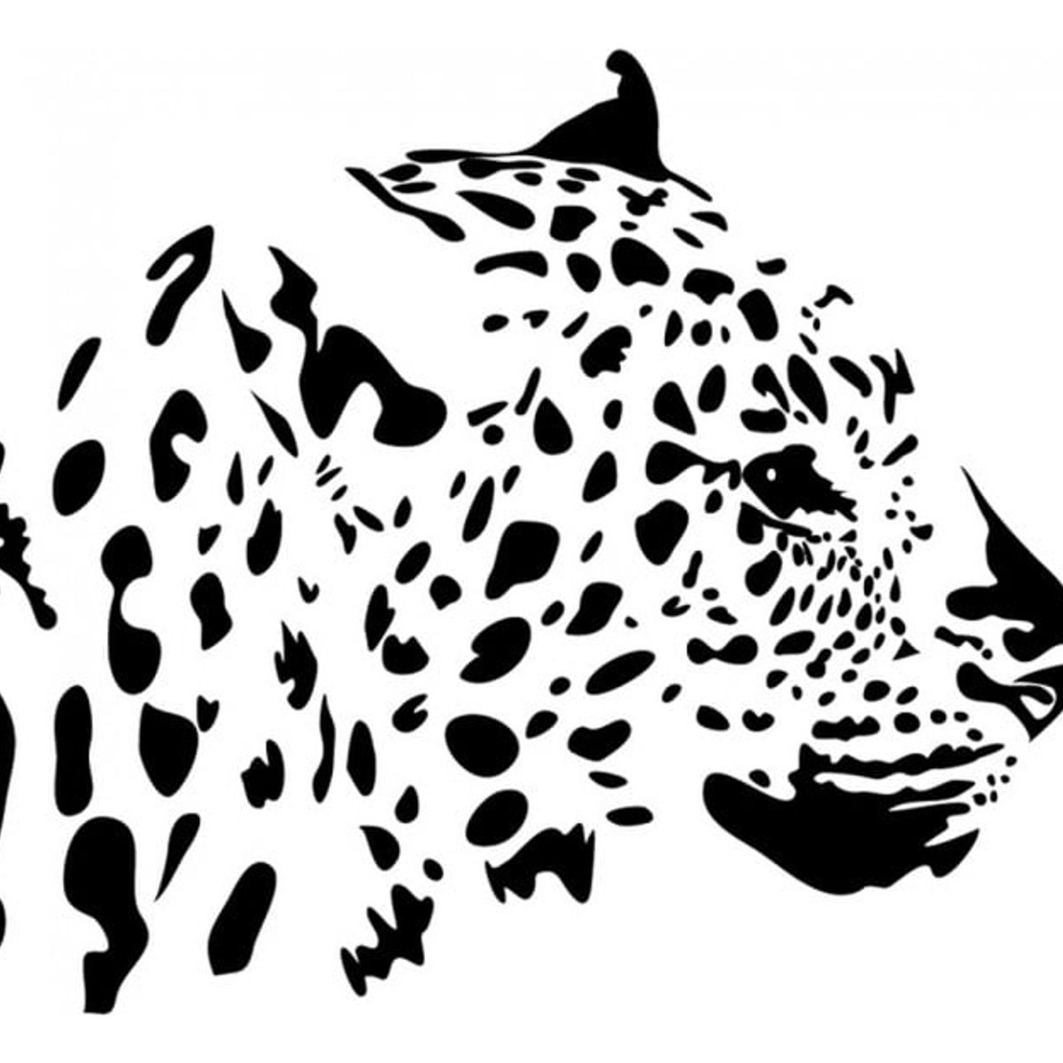 GENERICO - Decomural Leopard Portrait Jungle Animals WS-15871