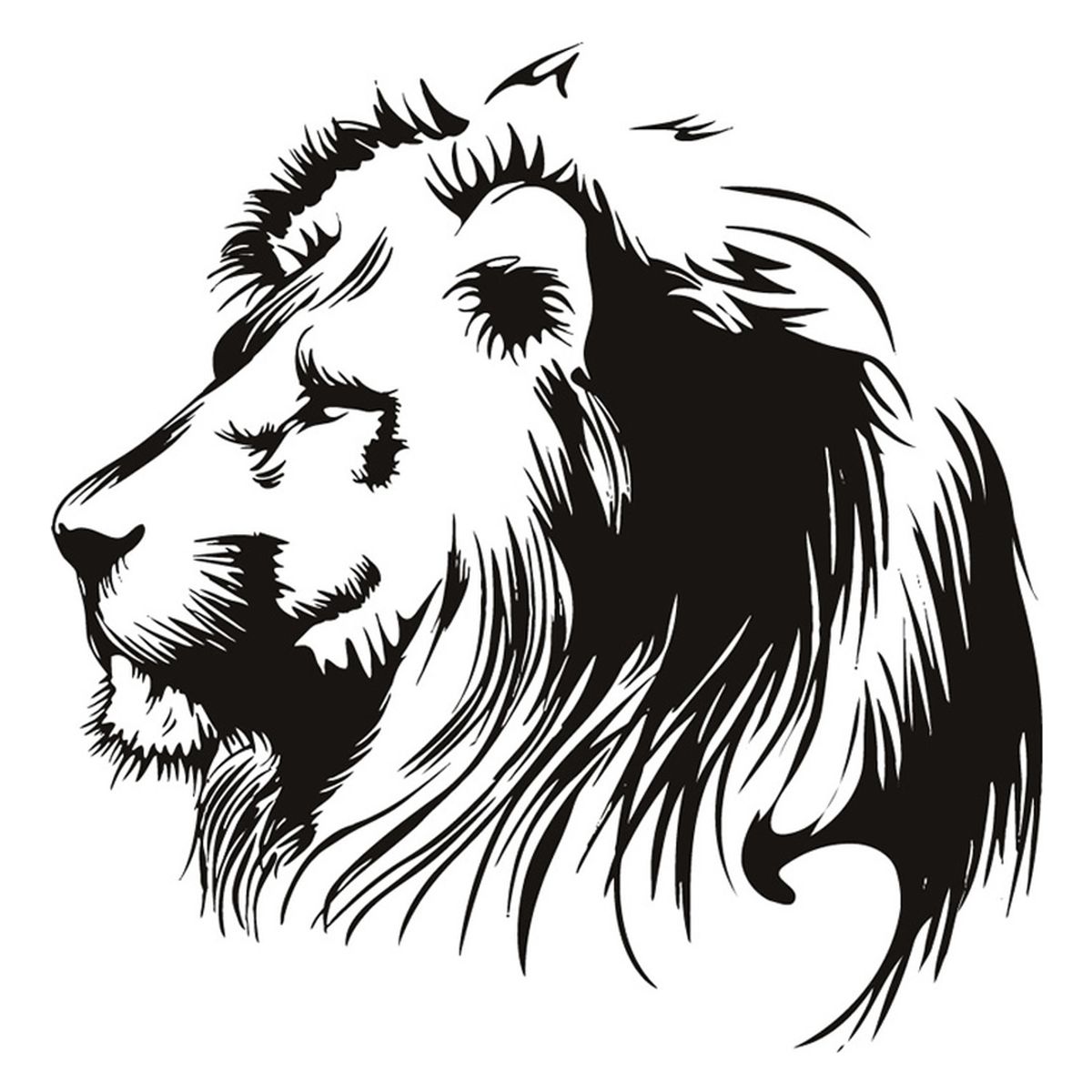 GENERICO - Decomural Lion Portrait African Animals WS-15874