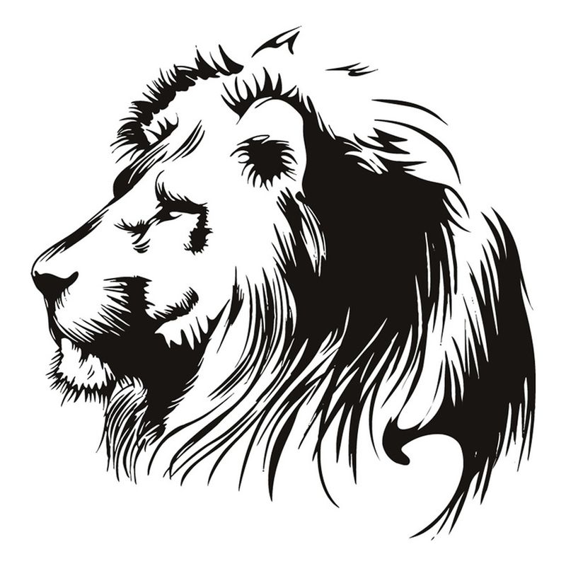 GENERICO - Decomural Lion Portrait African Animals WS-15874