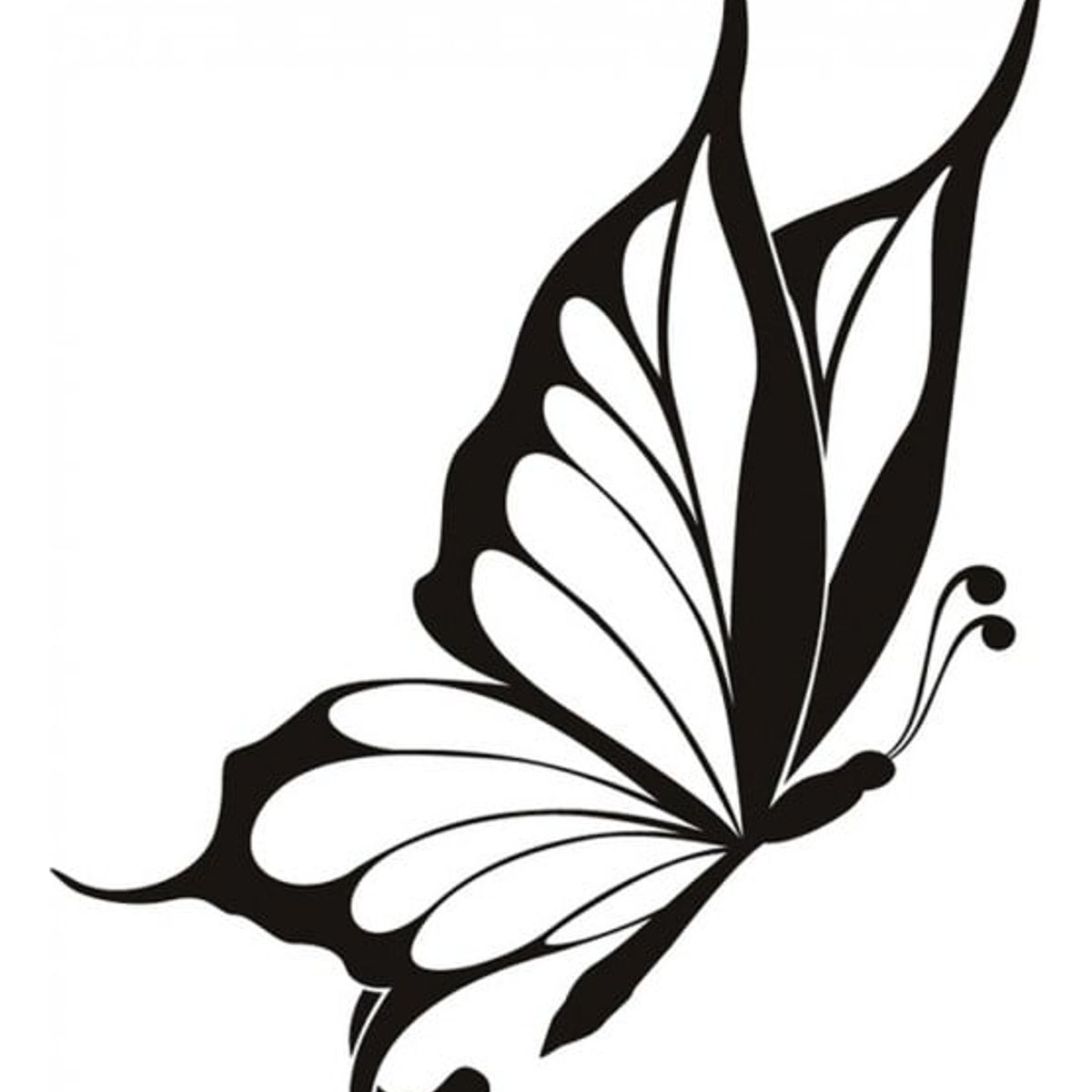 GENERICO - Decomural Elegant Butterfly Butterflies WS-16259