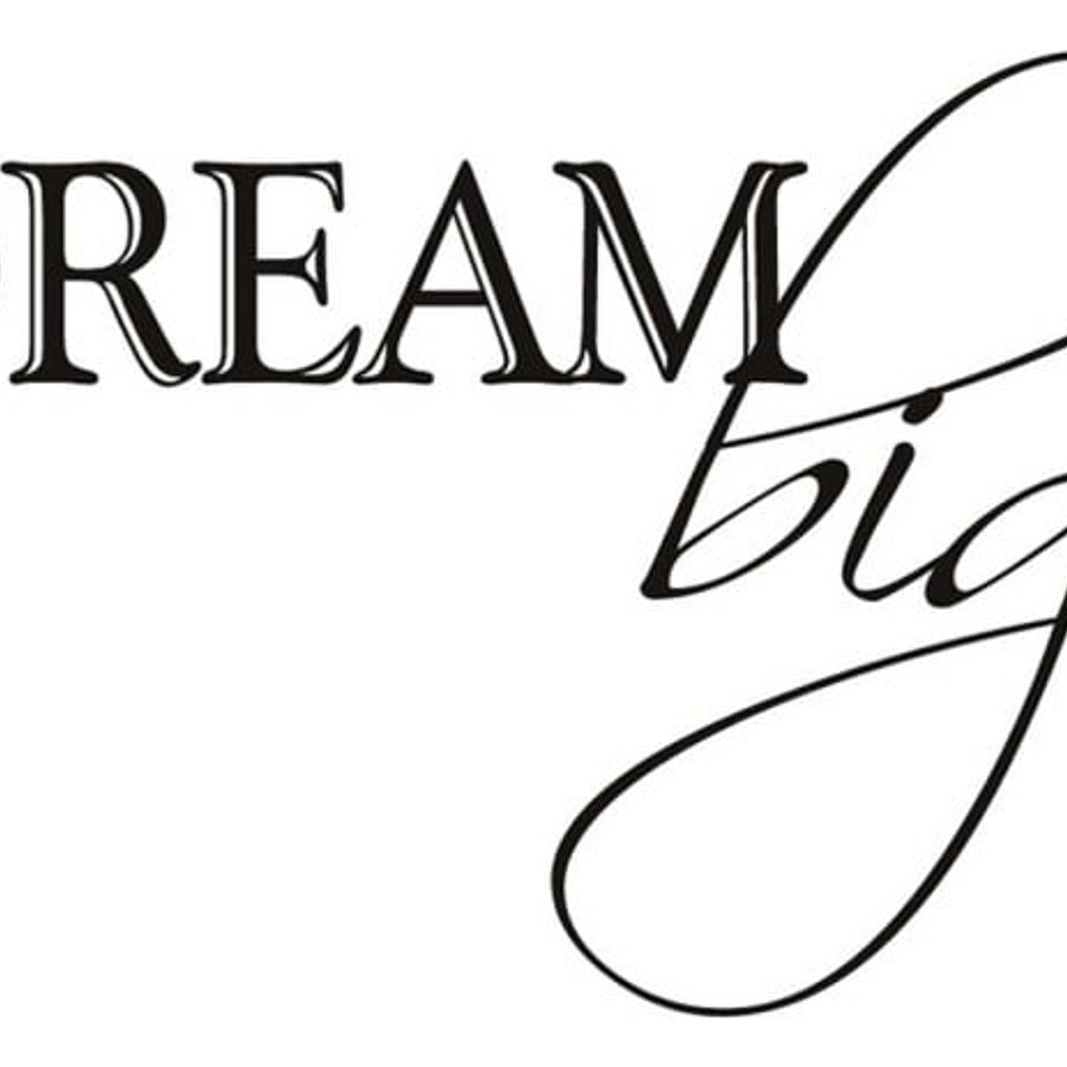 GENERICO - Decomural Dream Big Inspirational WS-17032