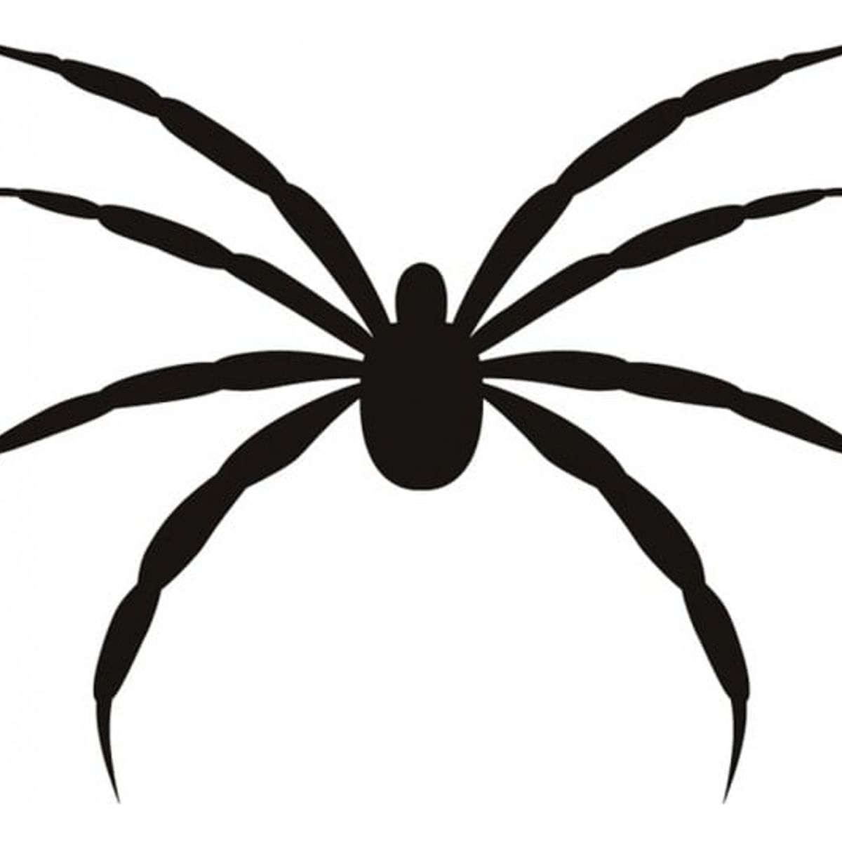 GENERICO - Decomural Scary Spider Halloween WS-17097