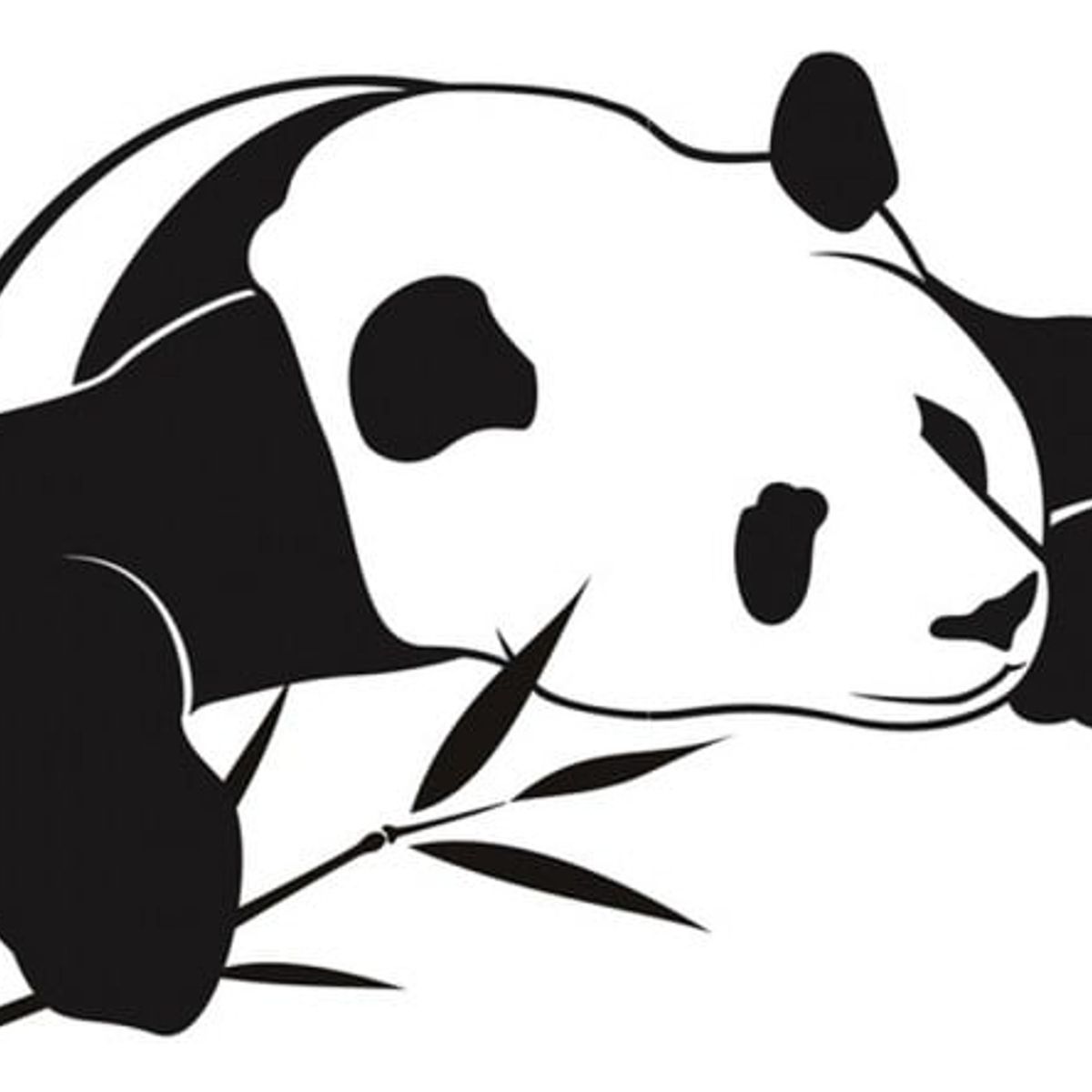 GENERICO - Decomural Panda Wild Animals Bears WS-17406