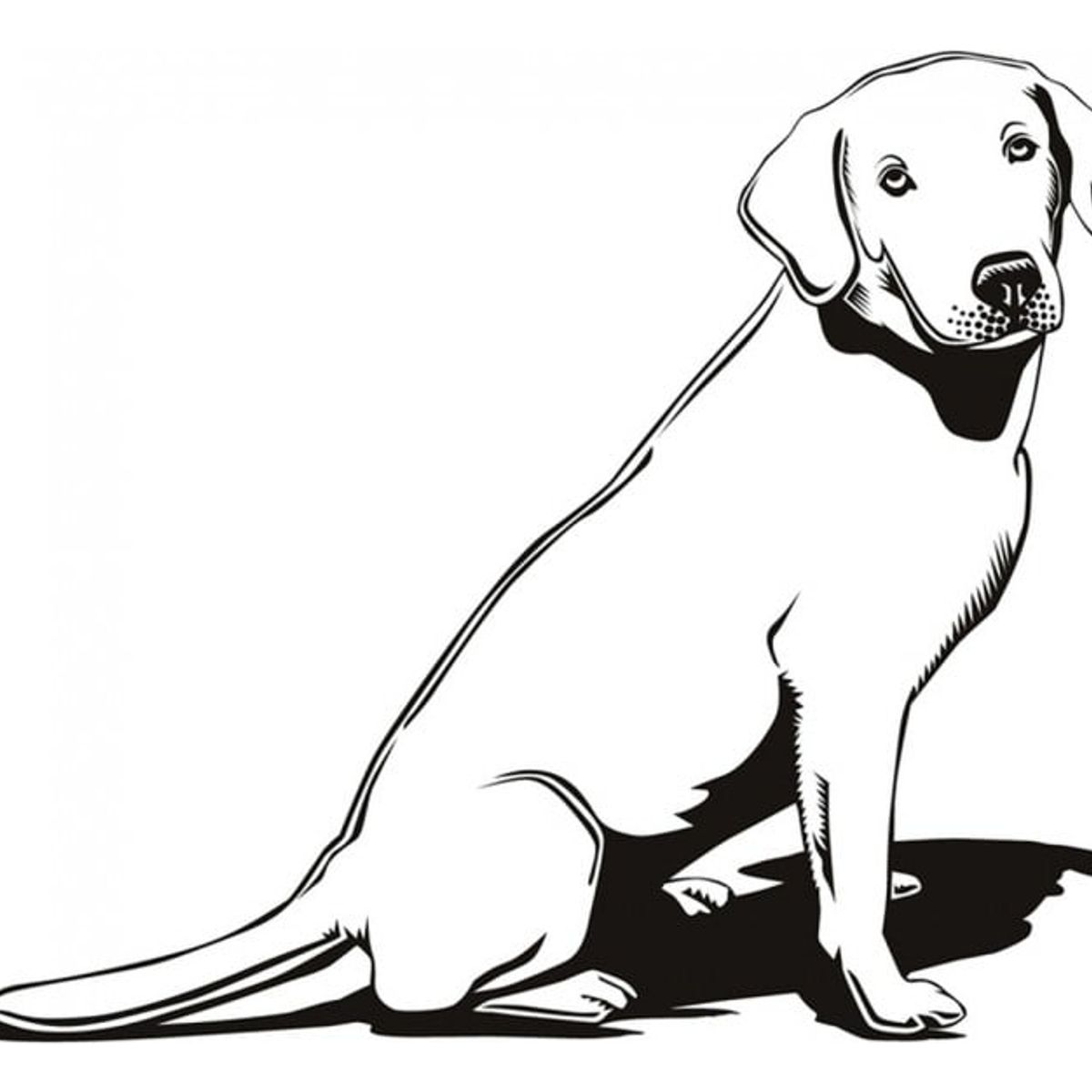 GENERICO - Decomural Labrador Dog Pet Animals WS-17469