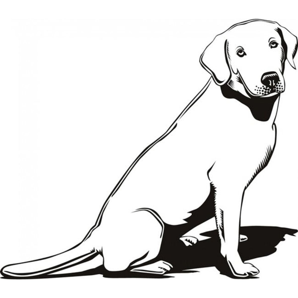 GENERICO - Decomural Labrador Dog Pet Animals WS-17469