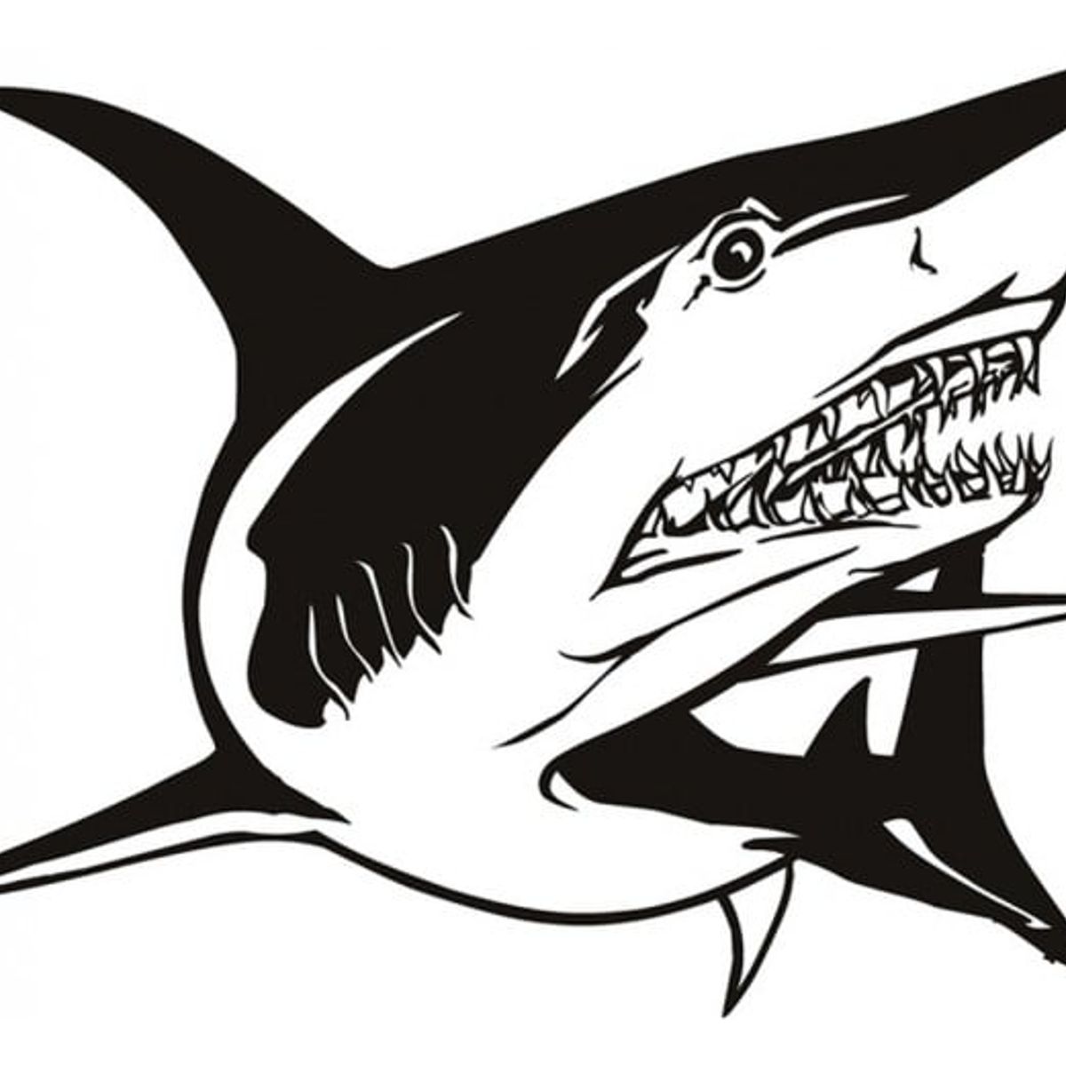 GENERICO - Decomural Great White Shark Under The Sea WS-17488