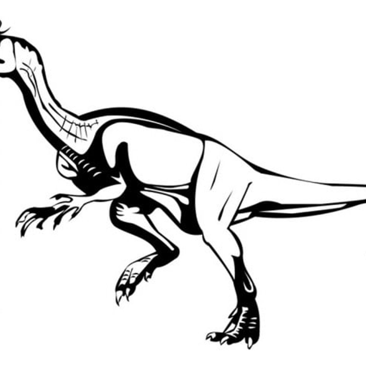 GENERICO - Decomural Velociraptor Jurassic Dinosaur WS-17551