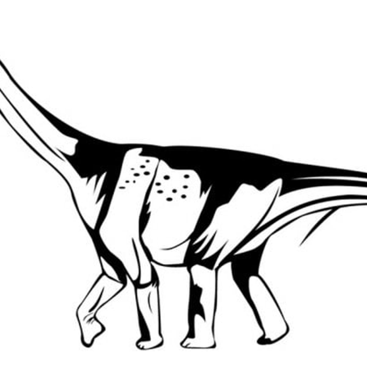 GENERICO - Decomural Saltasaurus Jurassic Dinosaur WS-17555