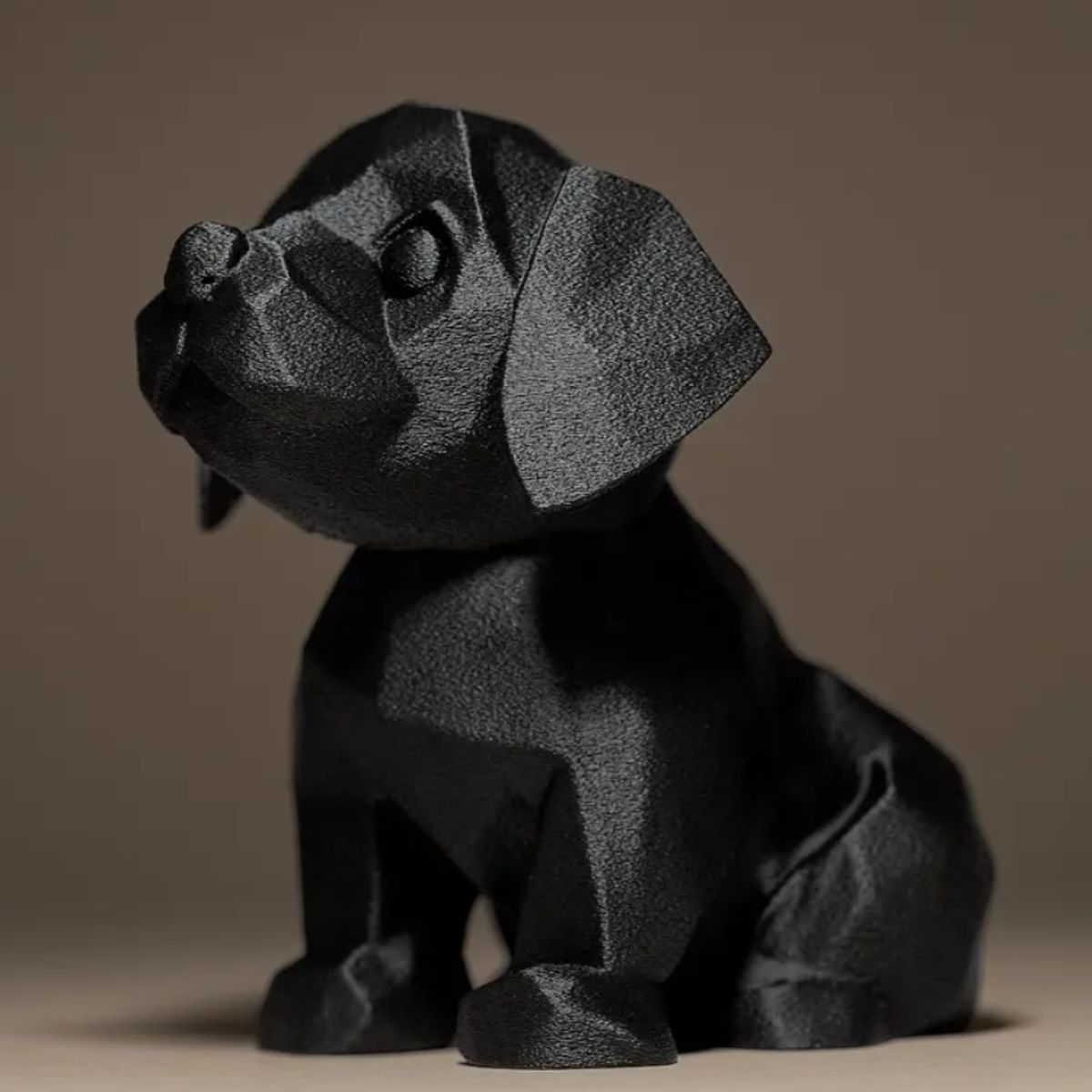 GENERICO - Decoración Minimalista - Cachorro