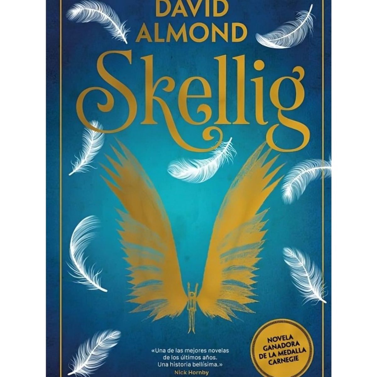 TOP10BOOKS - LIBRO Skellig - Skellig