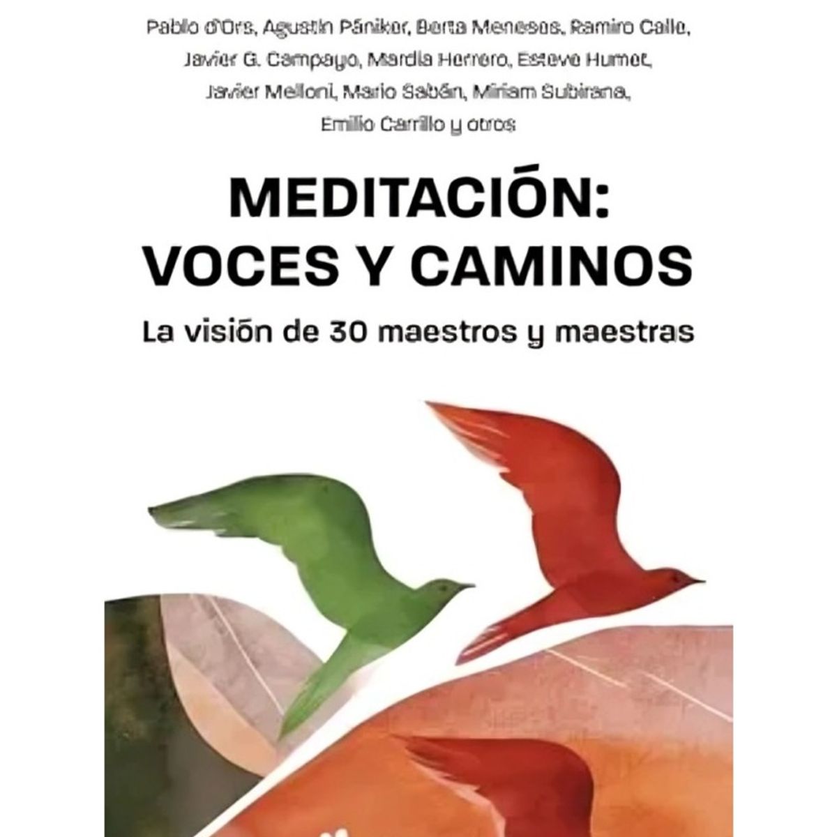 TOP10BOOKS - LIBRO Meditación: Voces Y Caminos - Meditación: Voces Y Caminos