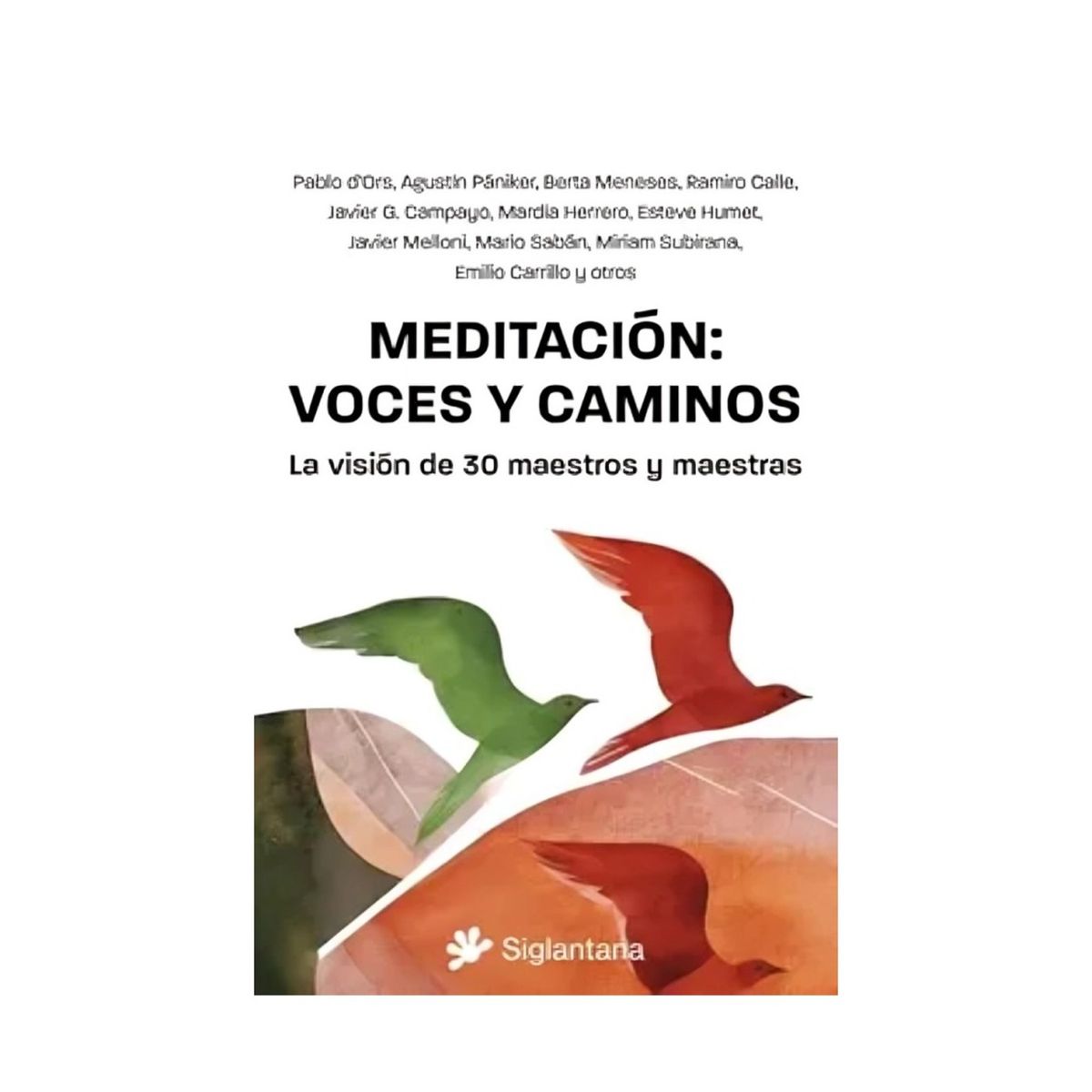 TOP10BOOKS - LIBRO Meditación: Voces Y Caminos - Meditación: Voces Y Caminos