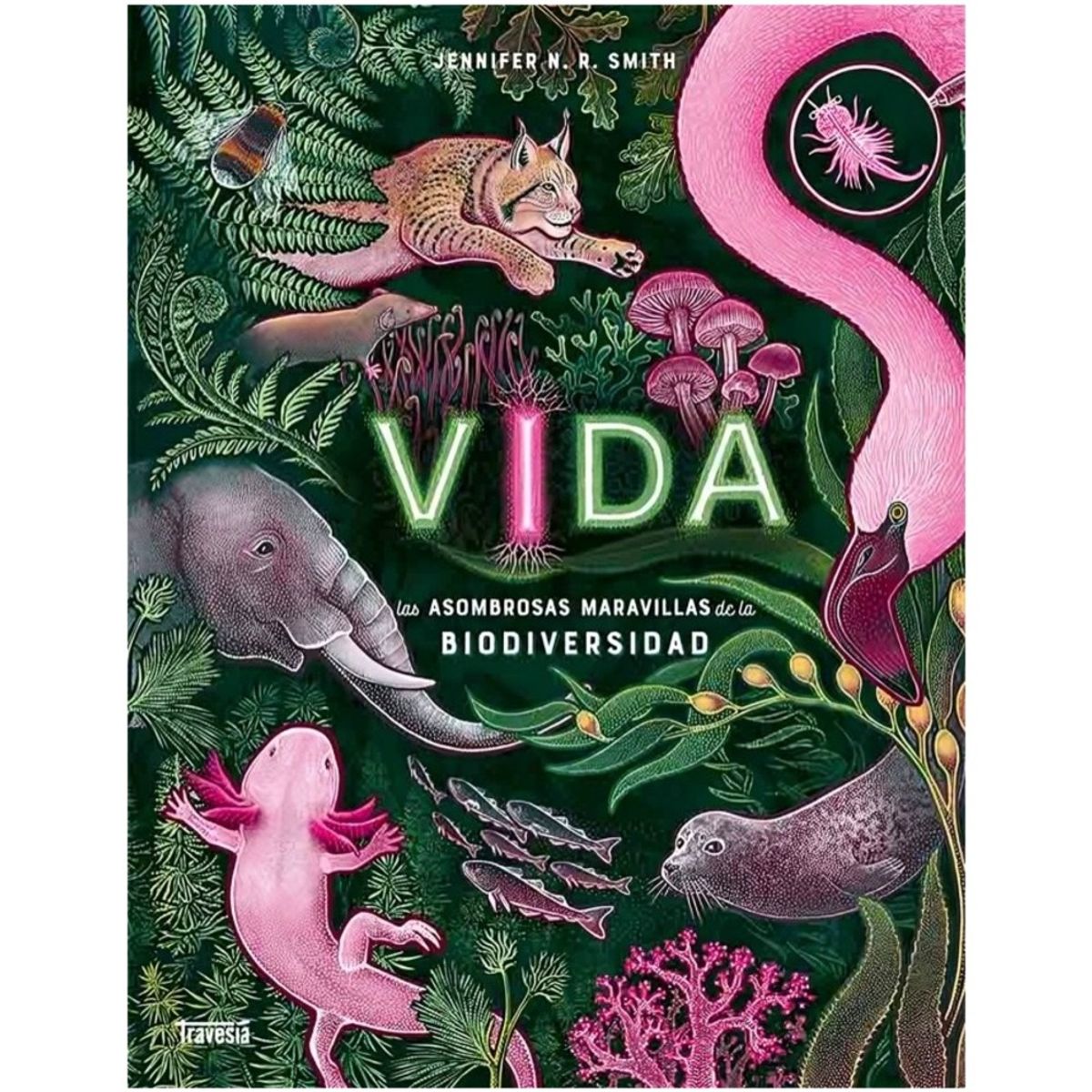 TOP10BOOKS - LIBRO Vida - Vida