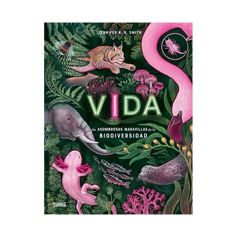 TOP10BOOKS - LIBRO Vida - Jennifer N.r. Smith