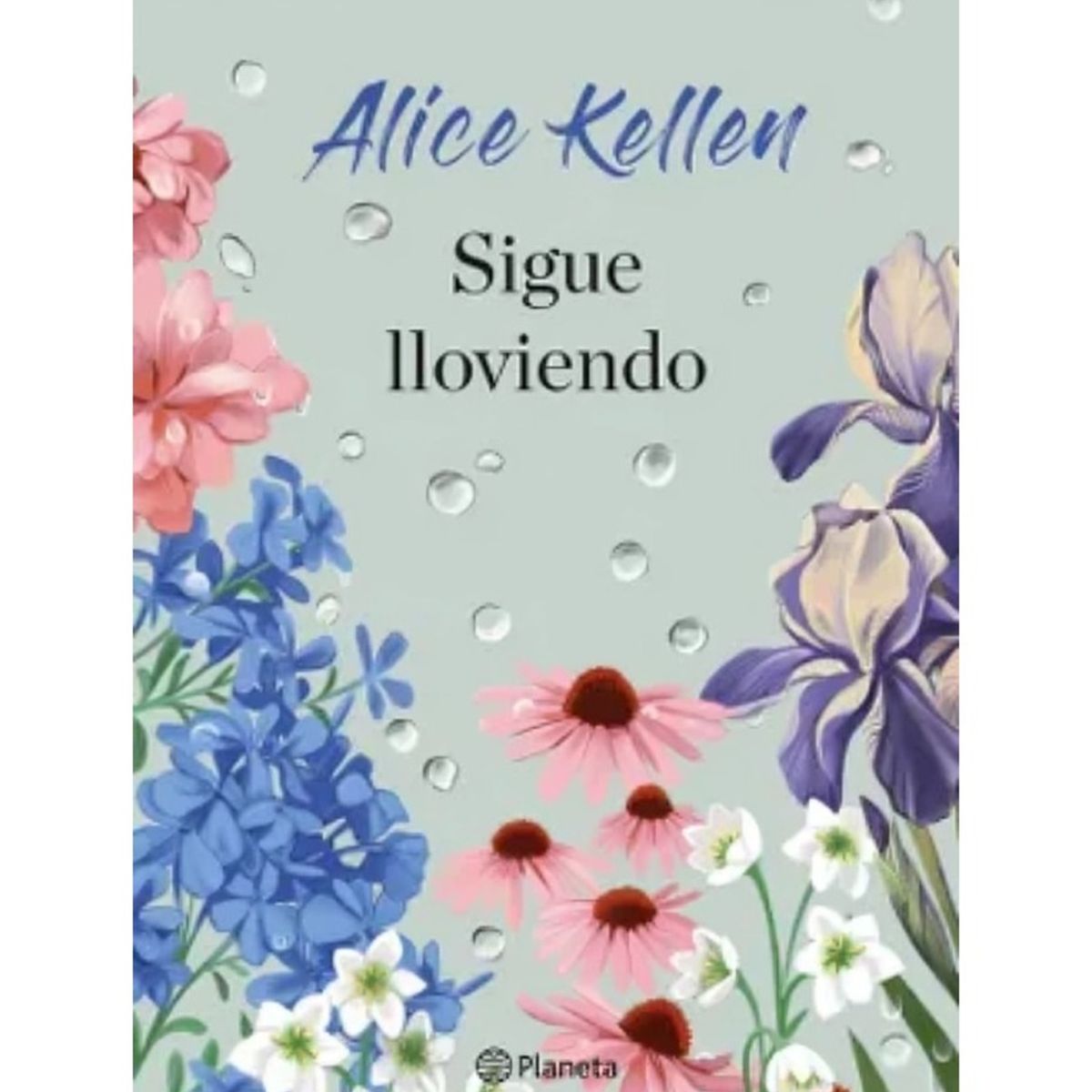 TOP10BOOKS - LIBRO Sigue Lloviendo - Sigue Lloviendo