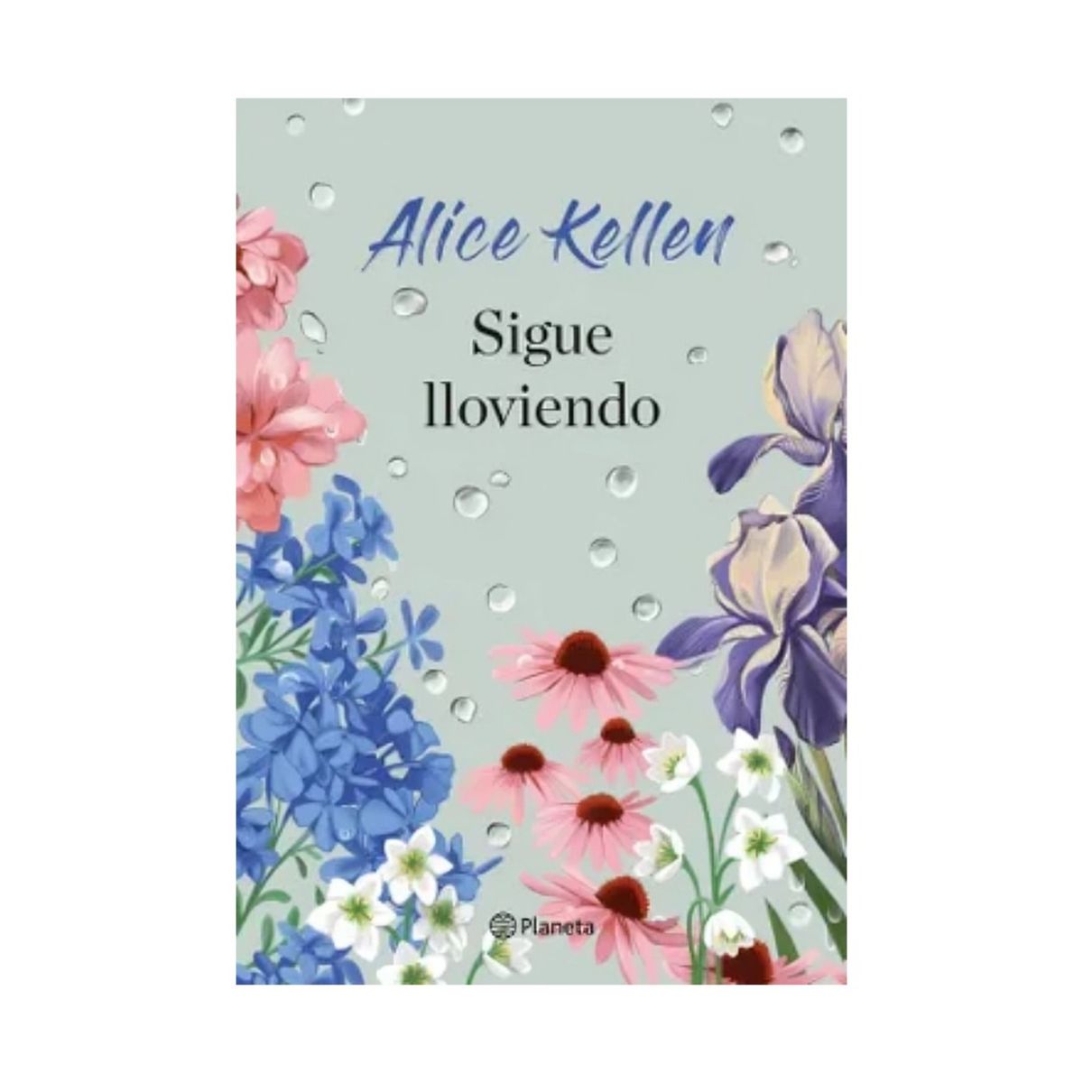 TOP10BOOKS - LIBRO Sigue Lloviendo - Sigue Lloviendo