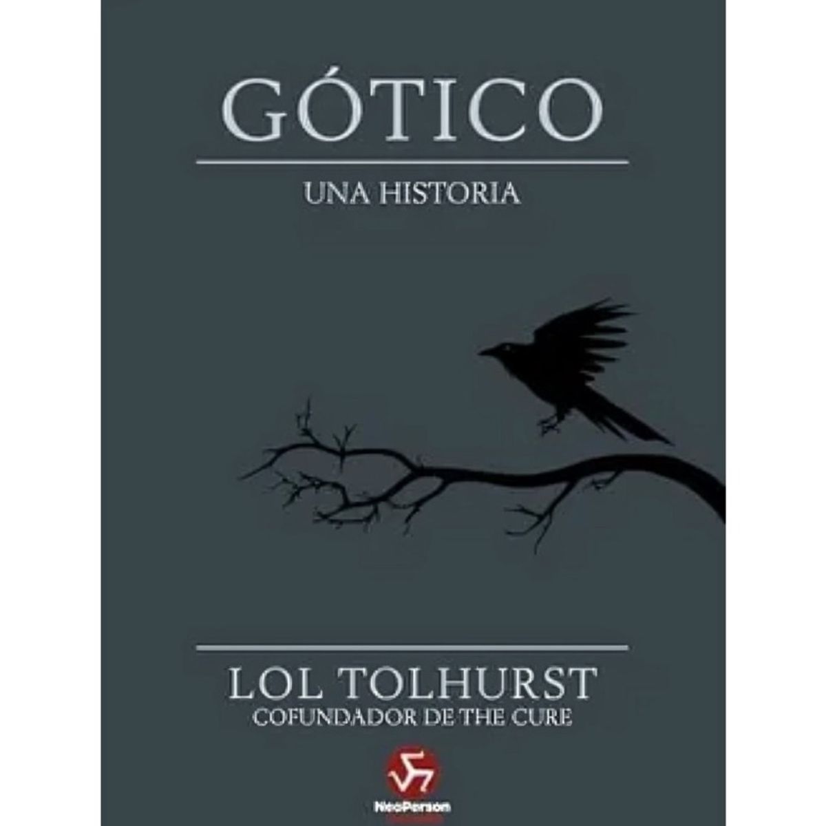 TOP10BOOKS - LIBRO Gótico Una Historia - Gótico Una Historia