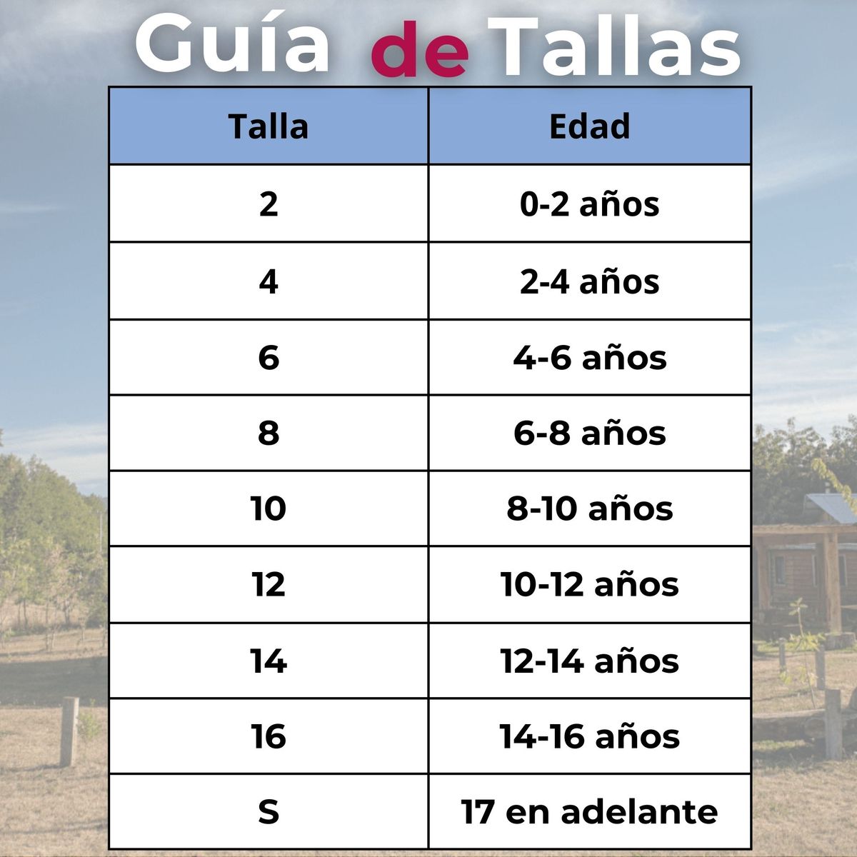 UTILISIMO - Traje Vestido Mapuche Niña 2 años hasta Talla S Vestimenta Típica