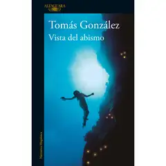 ALFAGUARA - Vista Del Abismo - Autor(a): Tomás González