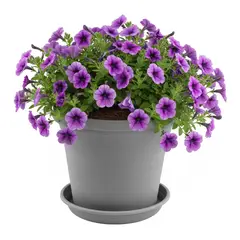 GENERICO - Macetero 30x24 cm gris Casa VIVA