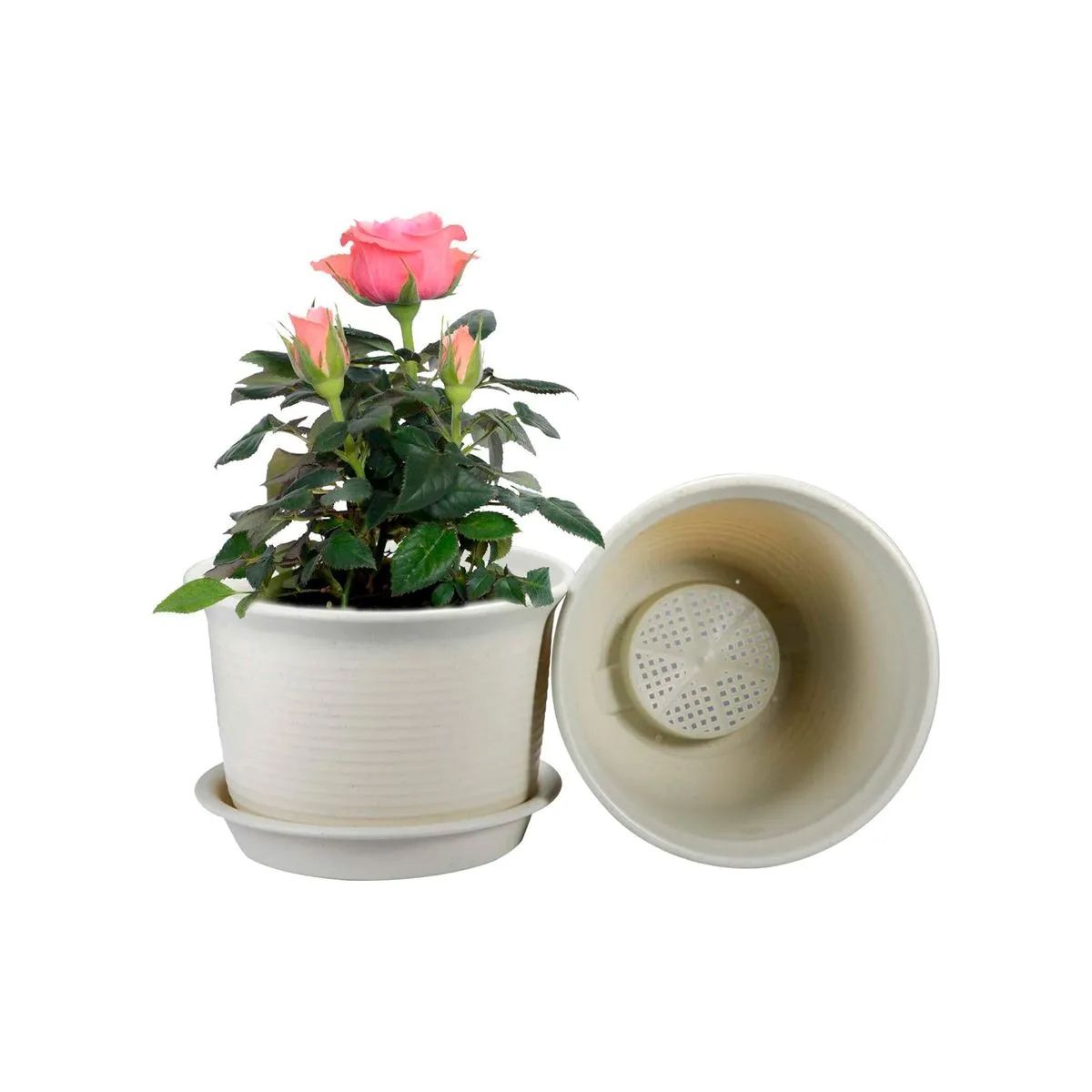 GENERICO - Macetero 21x15 cm beige Casa VIVA