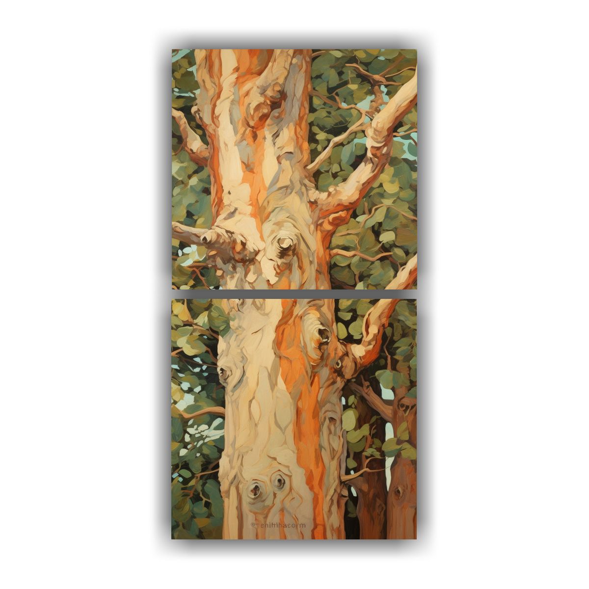 GENERICO - Cuadro Moderno De árbol De Eucalipto En Tela 50x100 Cm