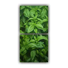 GENERICO - Dos Lienzos De Tela Alta Calidad Duradero A Basil 20x40 Cm
