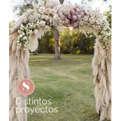 GENERICO - Pack de 5 Pampas Grass cola de zorro cola de conejo secas 1.20m