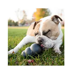 KONG - Juguete de caucho para perros Talla M negro