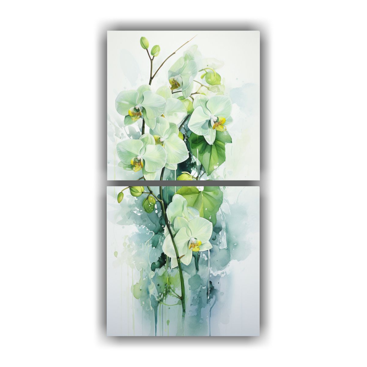 GENERICO - Cuadros Hermosa Belleza Composiciones Orchídeas 20x40 Cm