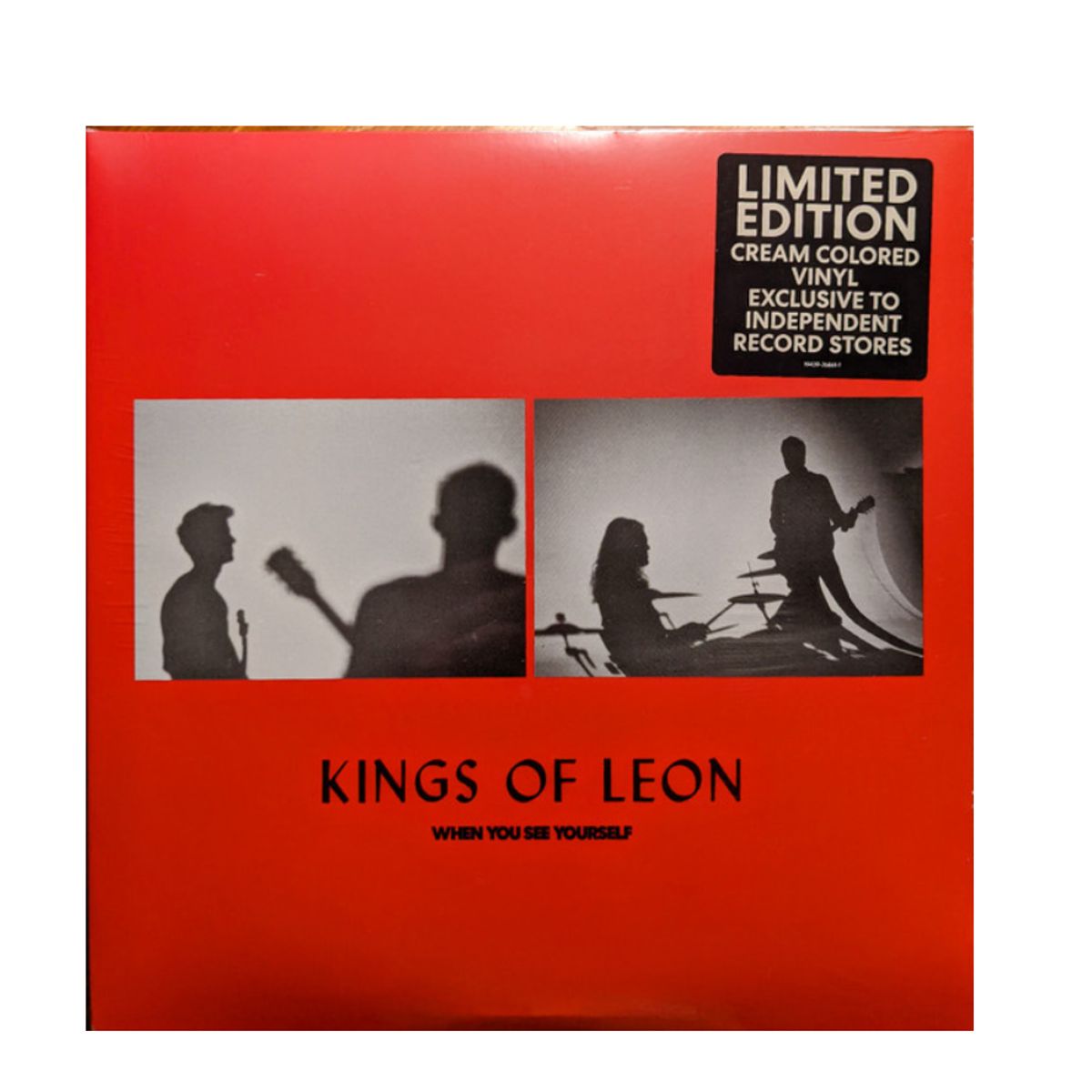 GENERICO - King Of Leon When You See Yourself Vinilo