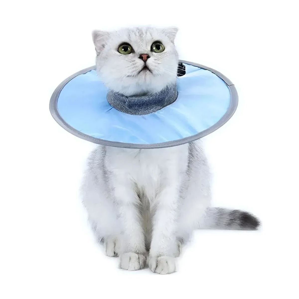 SUKEA - Collar Isabelino Impermeable Para Mascotas Ajustable M