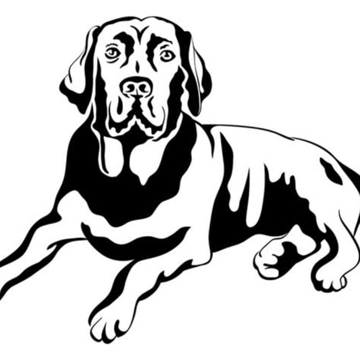 GENERICO - Decomural Labrador Dog Canine Animals WS-17595