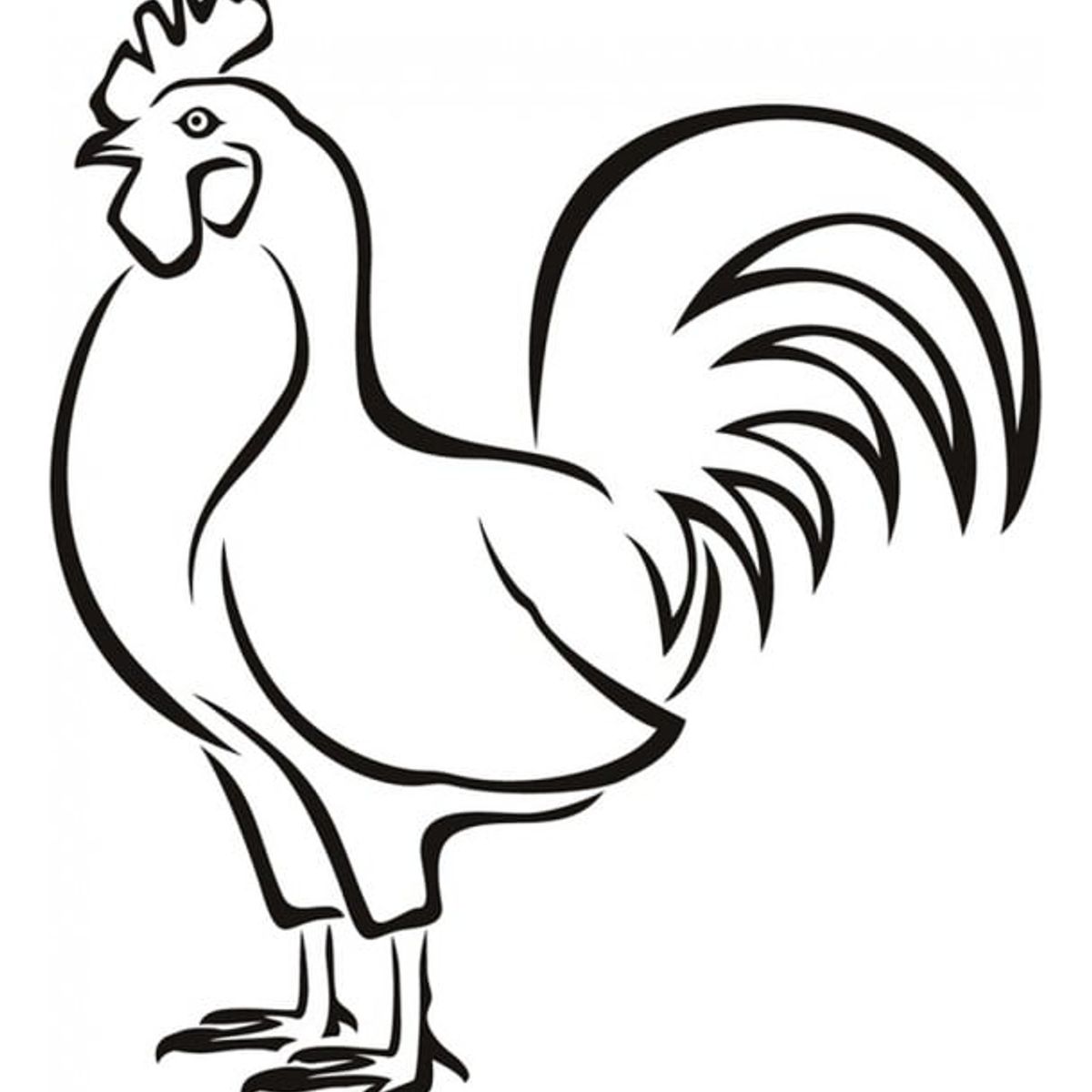 GENERICO - Decomural Chicken Farm Bird Animals WS-17611