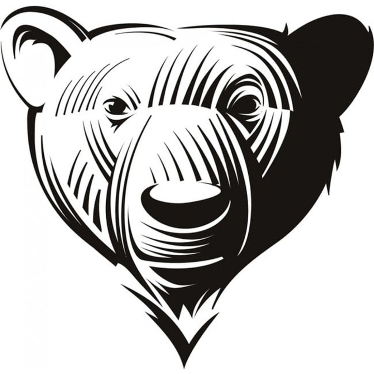 GENERICO - Decomural Bear Portrait Wild Animals WS-17616