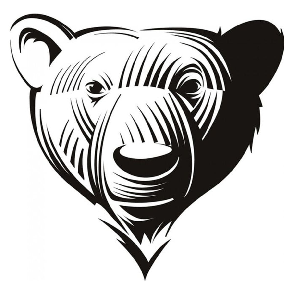 GENERICO - Decomural Bear Portrait Wild Animals WS-17616