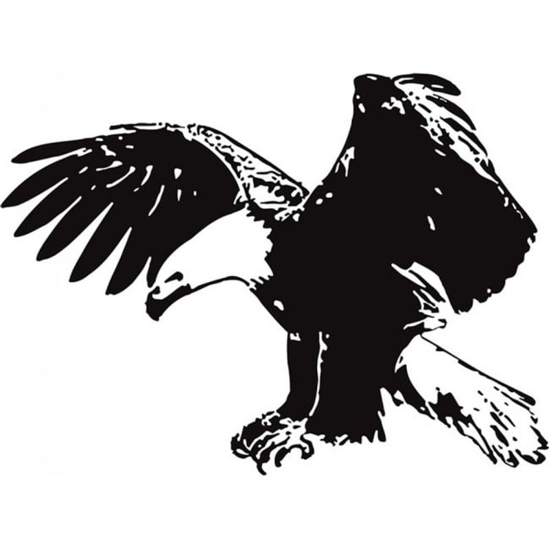 GENERICO - Decomural Soaring Eagle Bird WS-17617