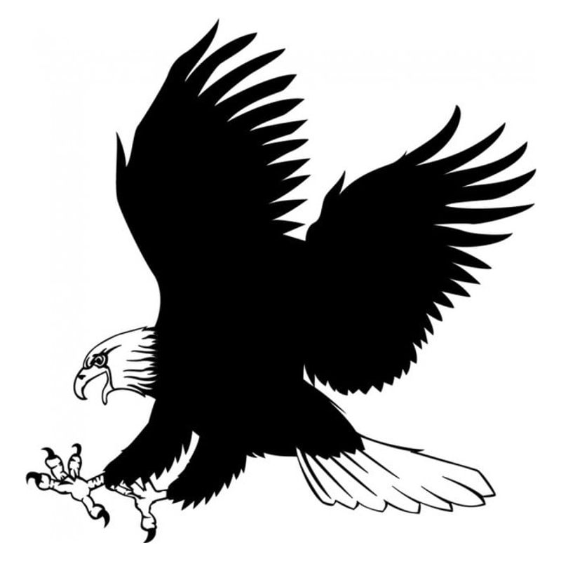 GENERICO - Decomural Bald Eagle Bird - Animals WS-17620