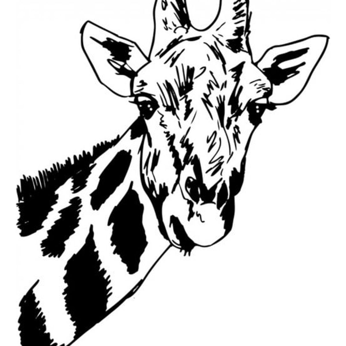 GENERICO - Decomural Giraffe Head Safari Wild Animals WS-17625