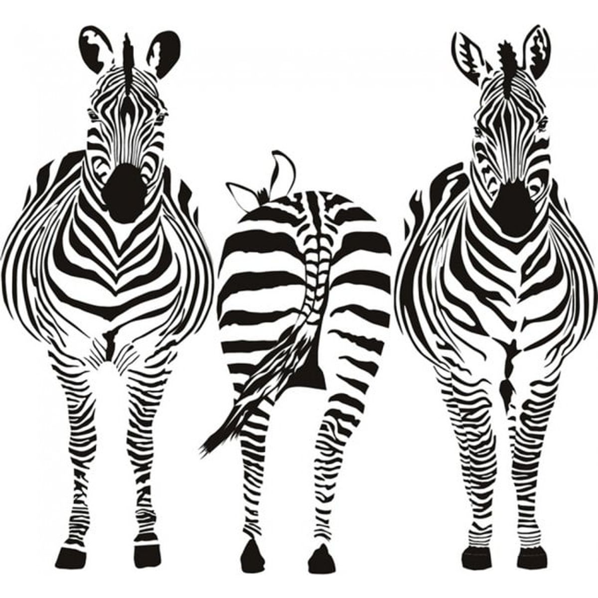 GENERICO - Decomural Group Zebra Safari Animals WS-17659